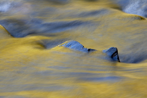 Textures;Shapes;Patterns;Abstractions;Abstract;Reflections;Reflection;Plant;Trunk;Bark;Leafy;Branches;Branch;Woodland;Herbaceous;Shrub;Bush;Trees;Tree Trunk;Brook;Creek;Rivulet;Streamlet;Stream;Rivers;River;Riverbed;Water;Flowing;waterway;stream;creek;brook